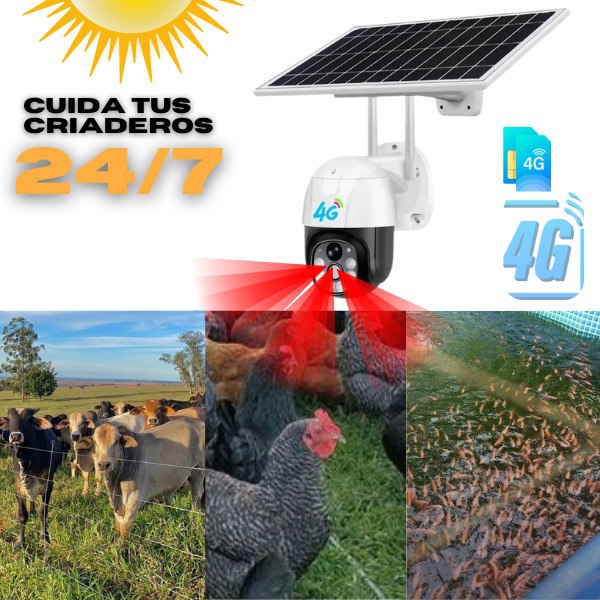 Cámara Seguridad PTZ 4G Solar: Vigilancia Total Sin Wi-Fi