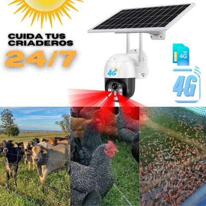 Cámara Seguridad PTZ 4G Solar: Vigilancia Total Sin Wi-Fi